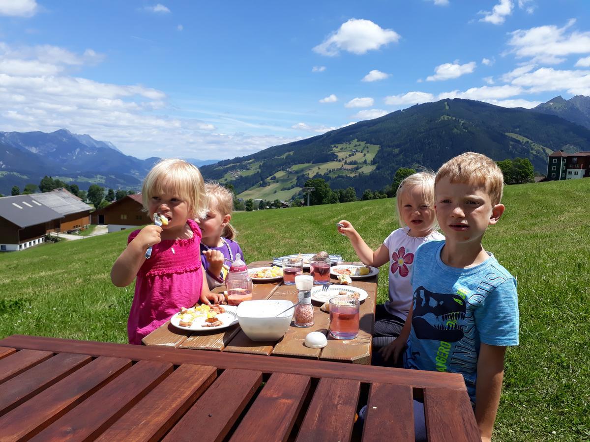 Haus Tauernseitn Apartment Schladming Luaran gambar